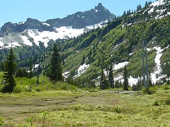 Wanderung im Mount Rainier Park