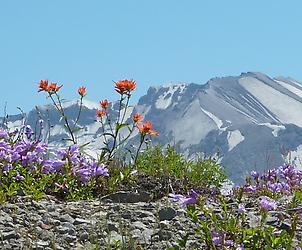 Mt. St. Helens