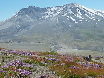 Mt. St. Helens