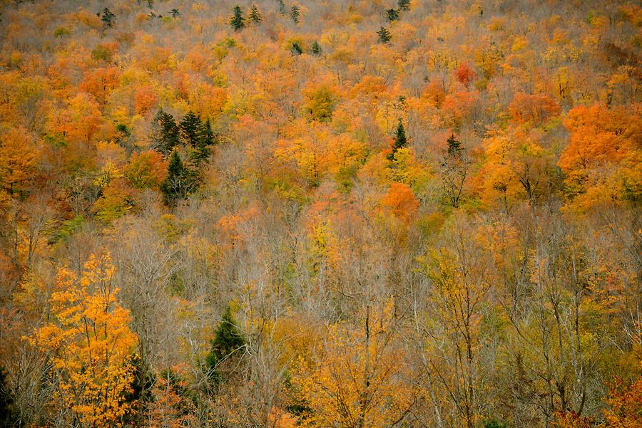 Mount Washington - on the Way to the Summit