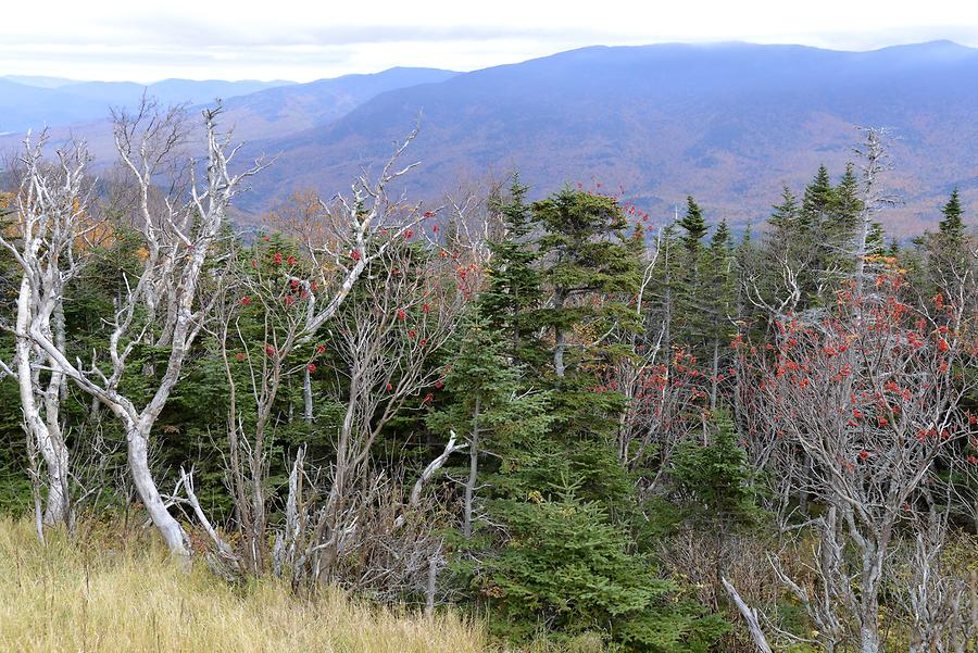 Mount Washington - on the Way to the Summit