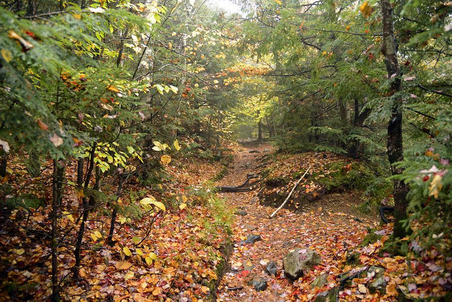 Near Ripley Falls - Indian Summer