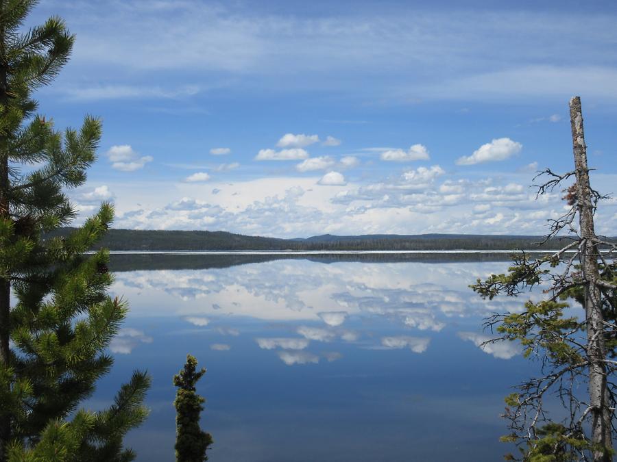 Yellowstone National Park - Lewis Lake