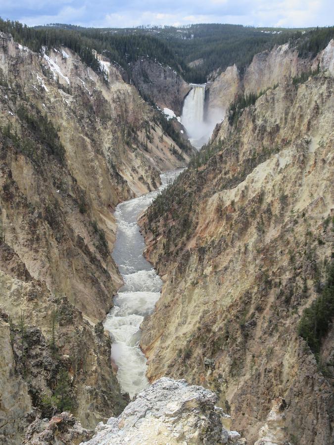 Yellowstone National Park - Lower Falls