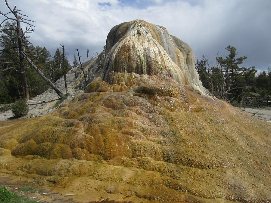 Yellowstone National Park - Mammoth Hot Springs Terraces