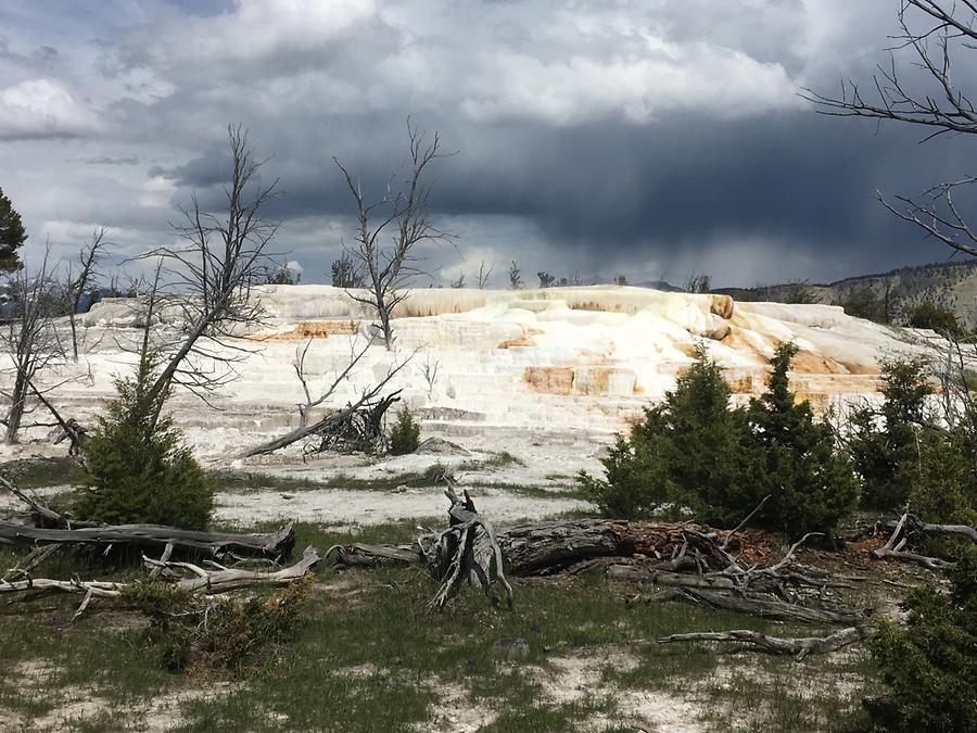 Yellowstone National Park - Mammoth Hot Springs Terraces