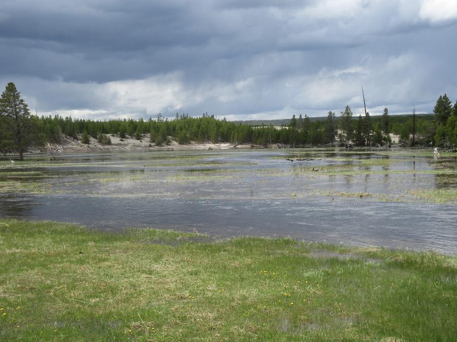 Yellowstone National Park - Nymph Lake