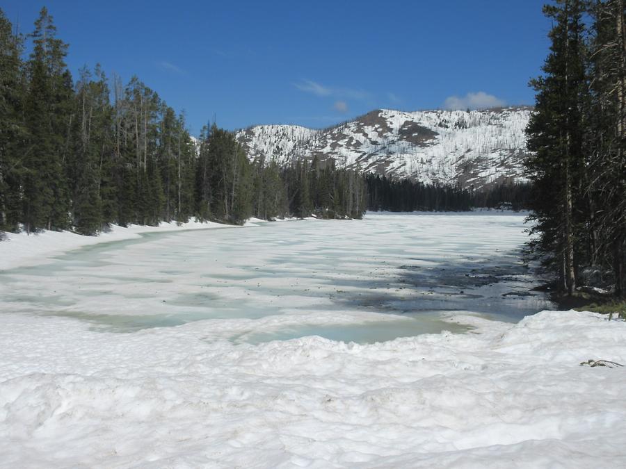 Yellowstone National Park - Sylvan Lake