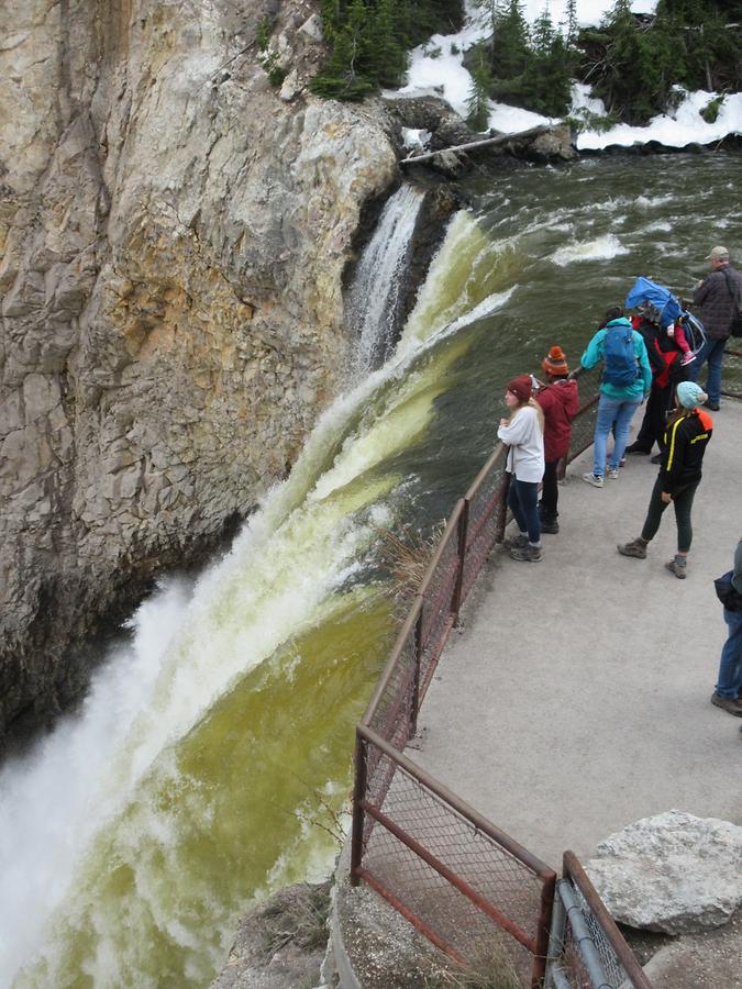 Yellowstone National Park - Upper Falls