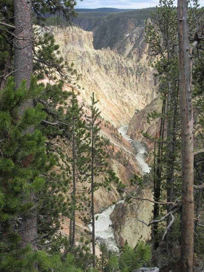 Yellowstone National Park - Yellowstone Canyon