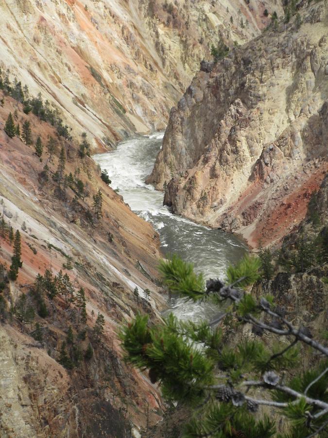 Yellowstone National Park - Yellowstone Canyon