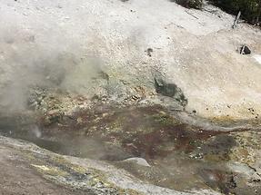 Yellowstone NP (1)