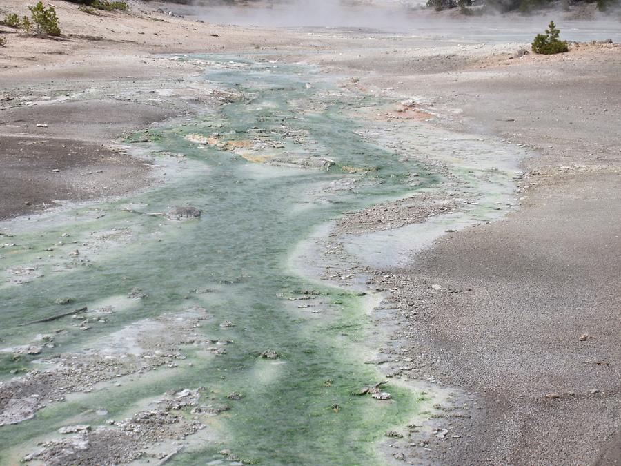 Yellowstone National Park