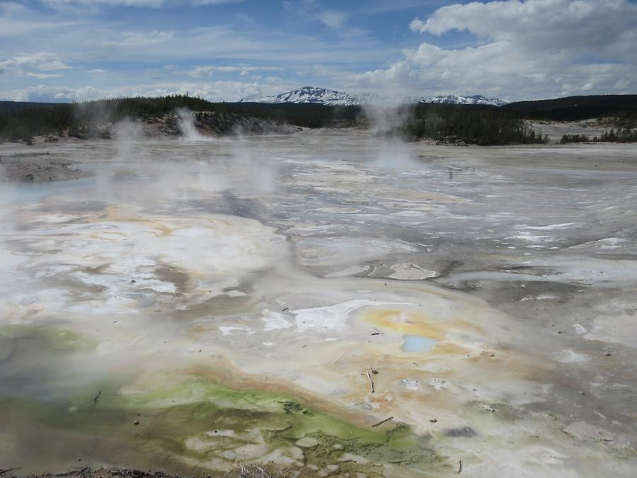 Yellowstone National Park