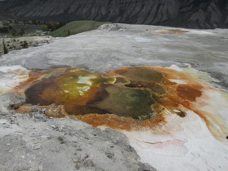 Yellowstone National Park