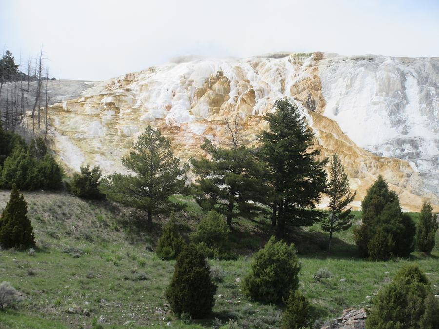 Yellowstone National Park