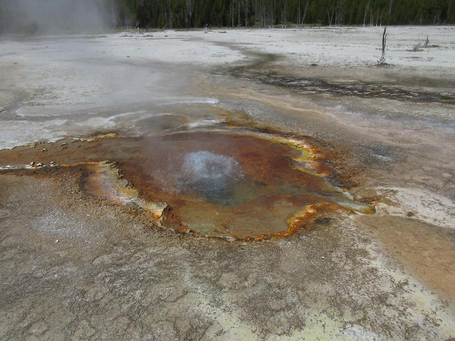 Yellowstone National Park