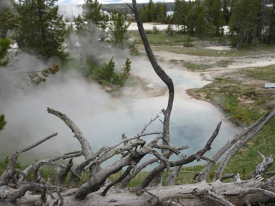 Yellowstone National Park