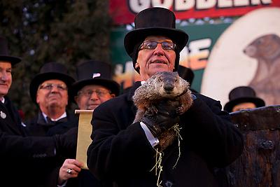 Punxsutawney Phil