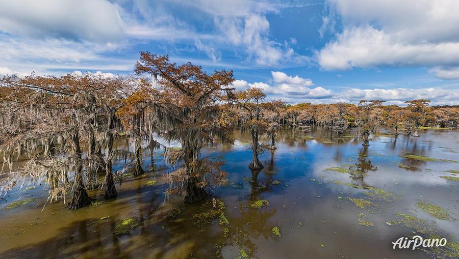 Bald cypress swamps, Louisiana-Texas, USA, © AirPano 