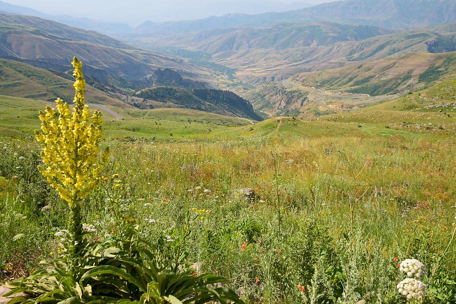 Selim Mountain Pass