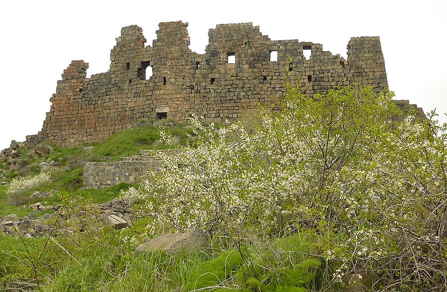 Ruins of Amberd