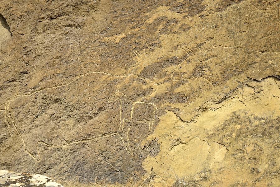 Gobustan National Park - Petroglyphs