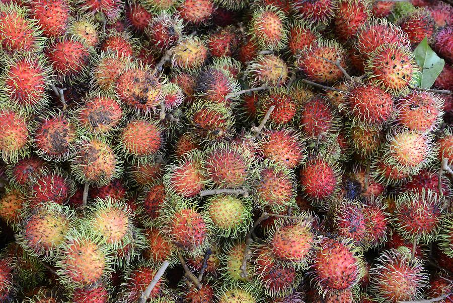 Market Stalls - Rambutan