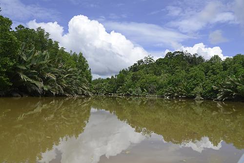 Sungai Brunei The Capital Bandar Seri Begawan