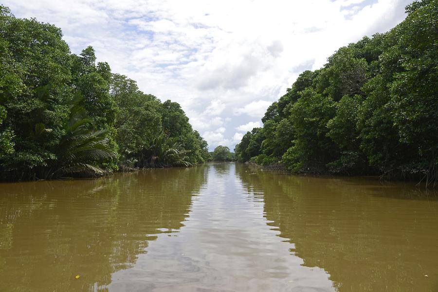 Sungai Brunei - Boat Trip