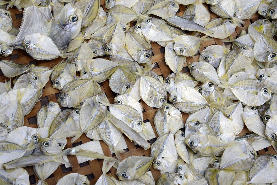 Kampong Ayer - 'Street Scene'; Dried Fish