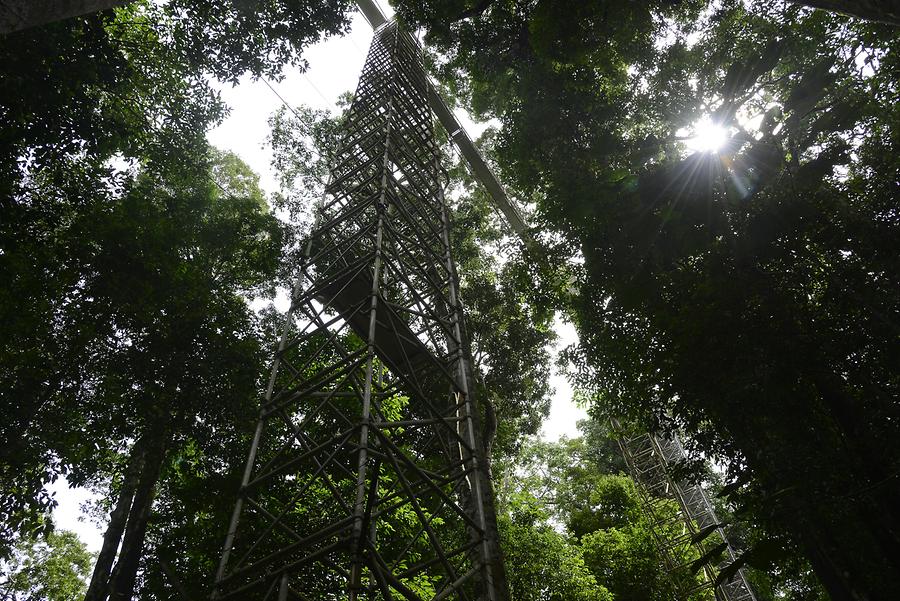 Canopy Walkway