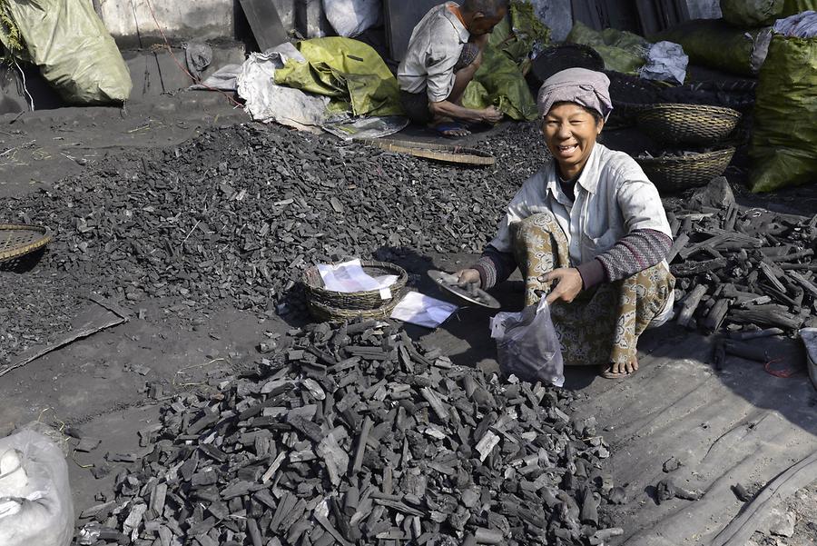 Coal Market