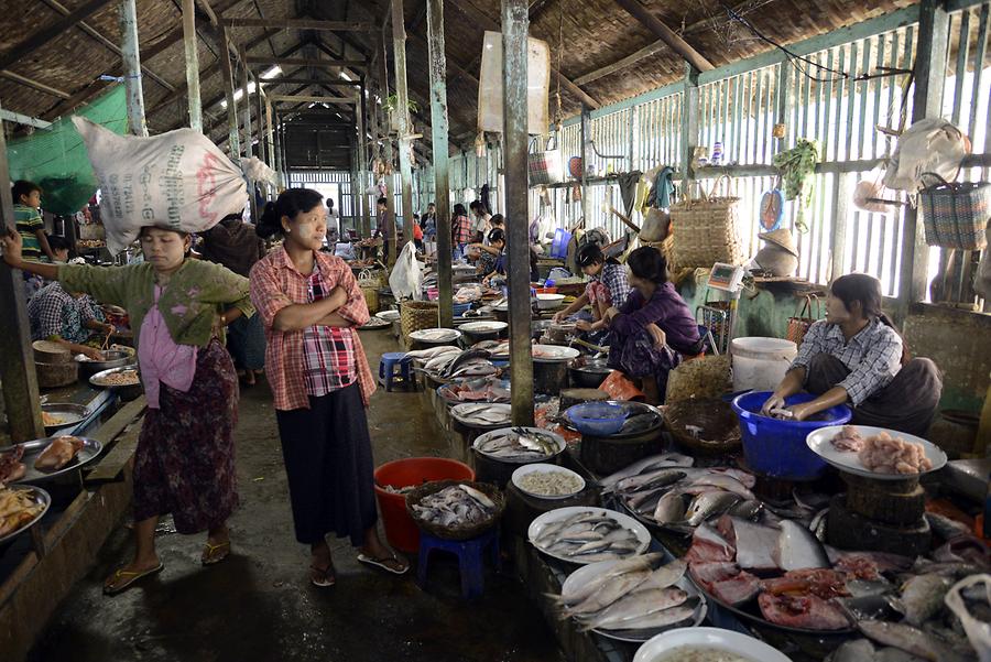 Market Pakokku