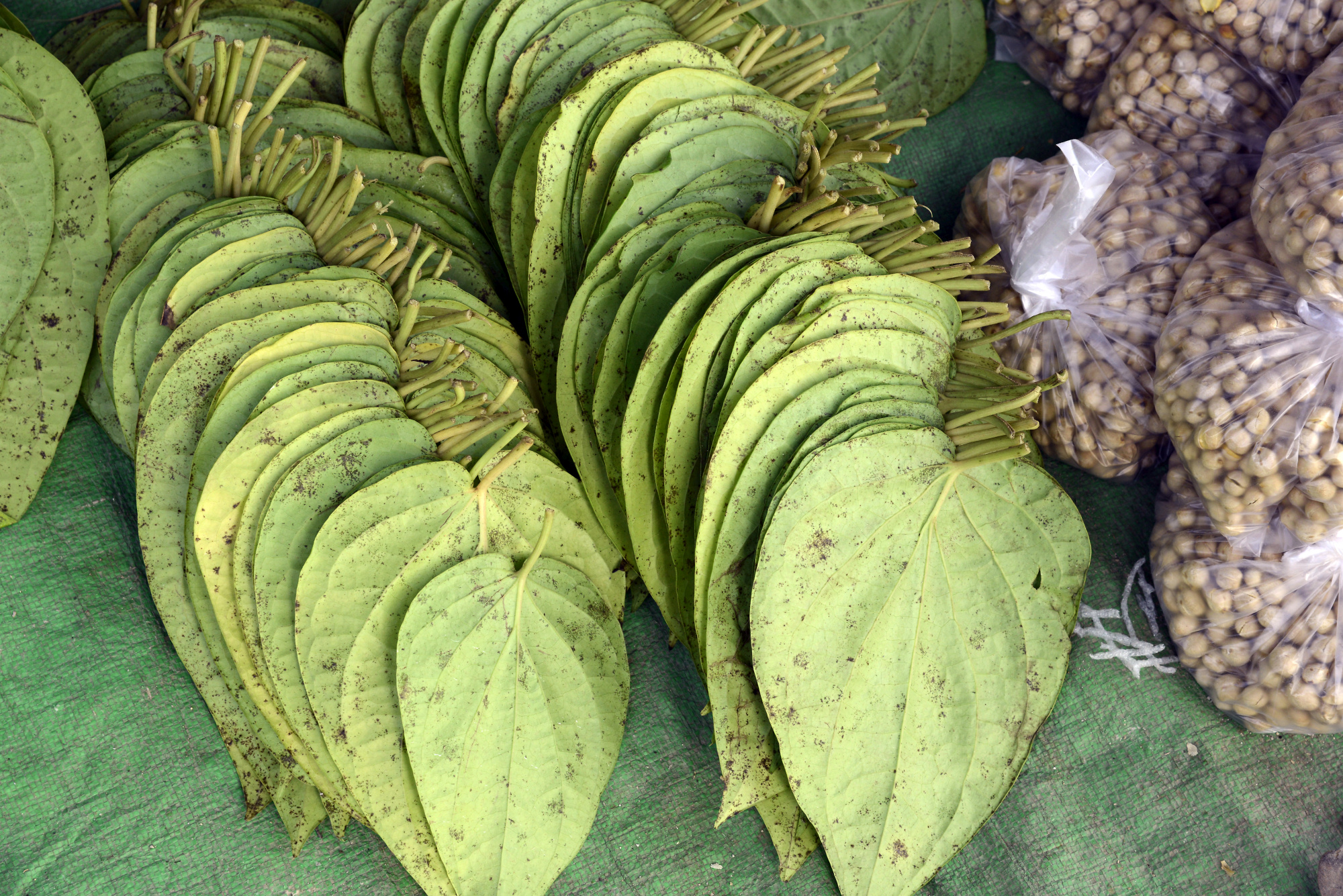 Betel nut leaves Yangon Pictures Geography im AustriaForum