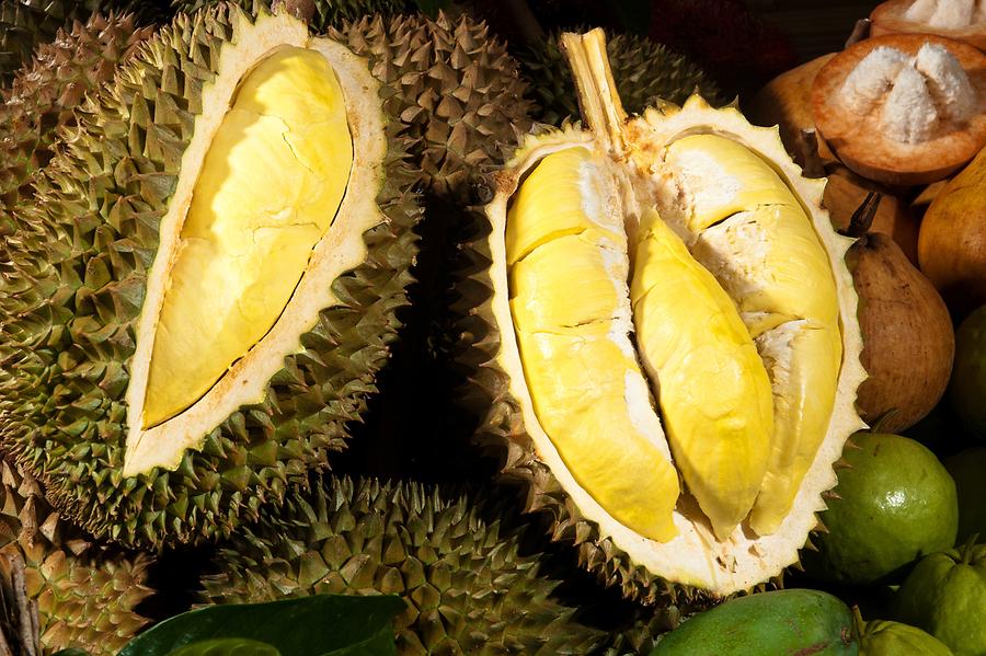 Durian