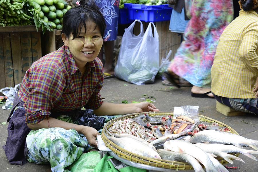 Indian Fish Market