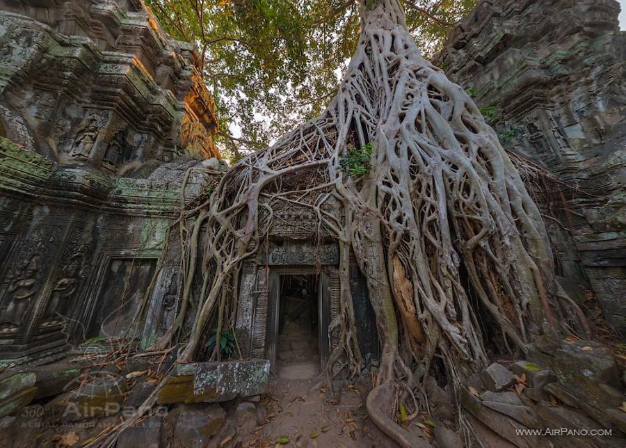 Ta Prohm temple