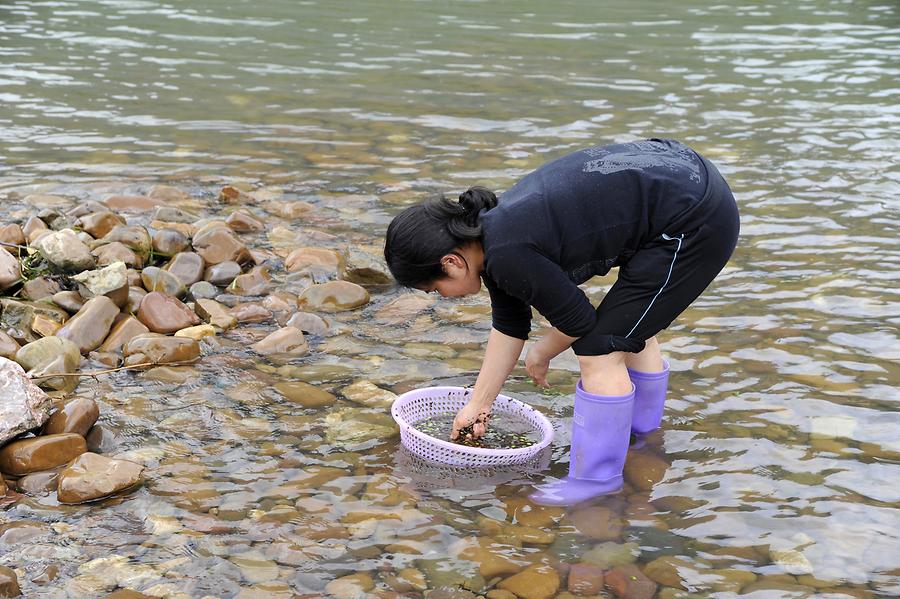 Li River - Clammer