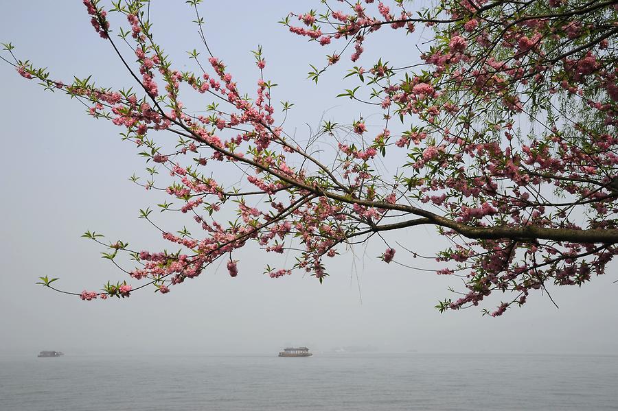 West Lake - Zhonshan Park