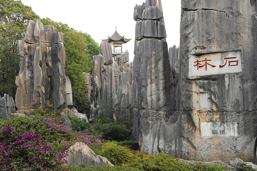 Shilin - Stone Forest