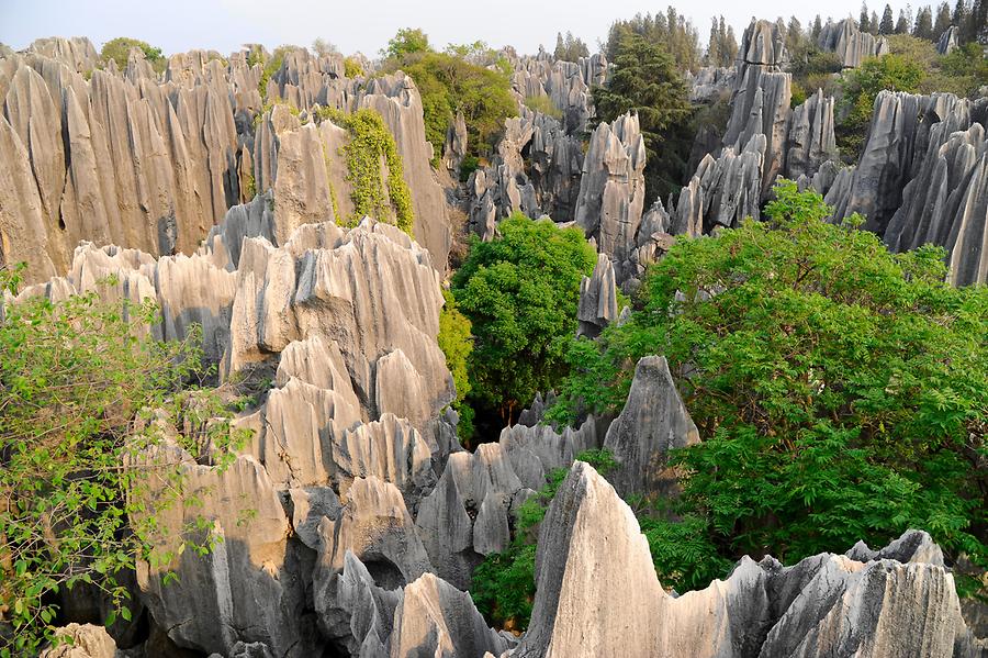 Shilin - Stone Forest