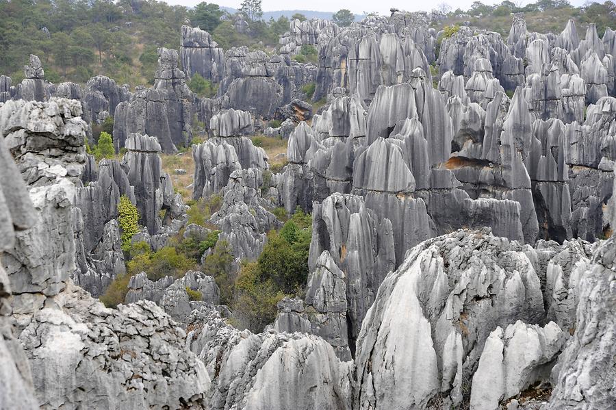 Shilin - Stone Forest