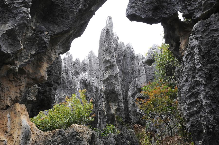 Shilin - Stone Forest