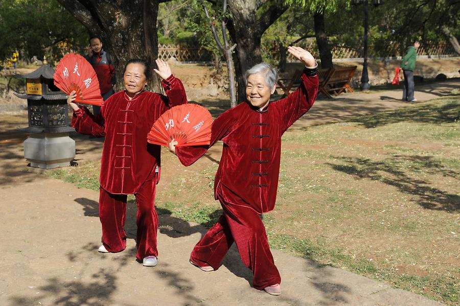 Black Dragon Park - Tai Chi