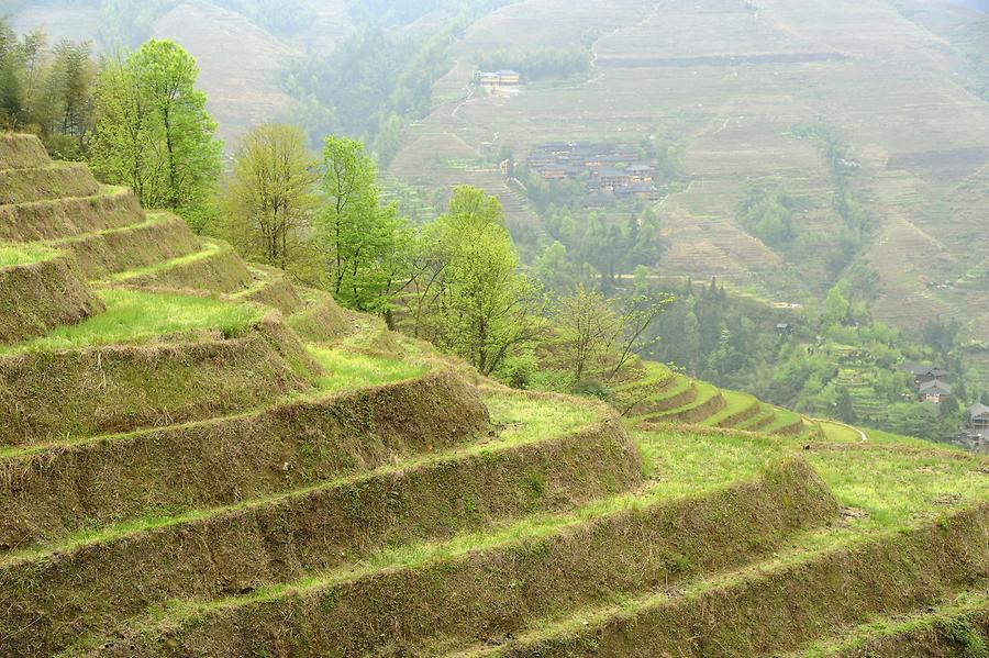 Longsheng Rice Terraces