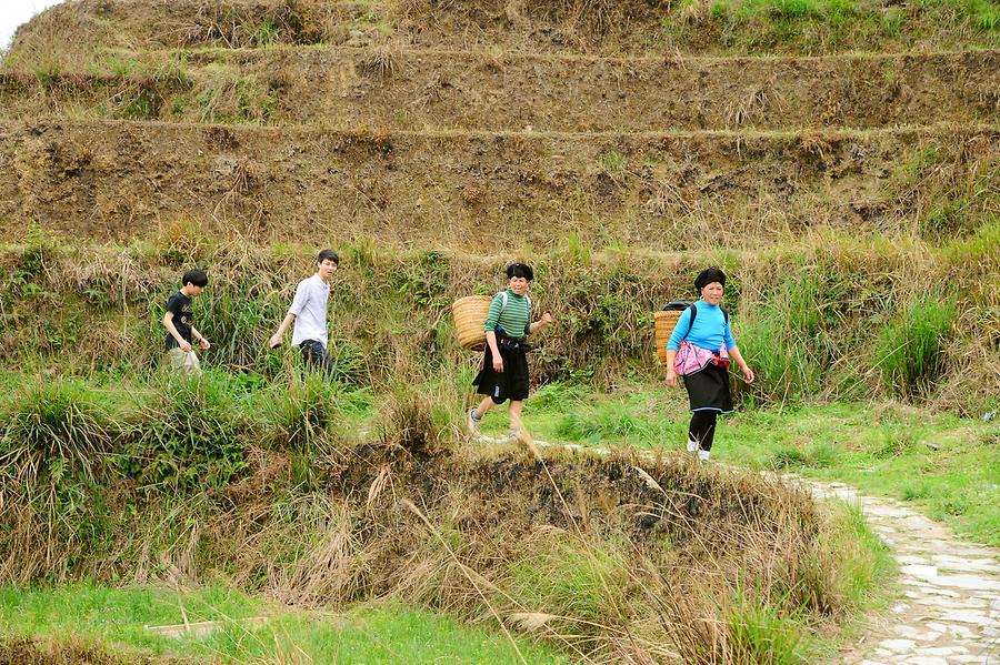 Longsheng Rice Terraces