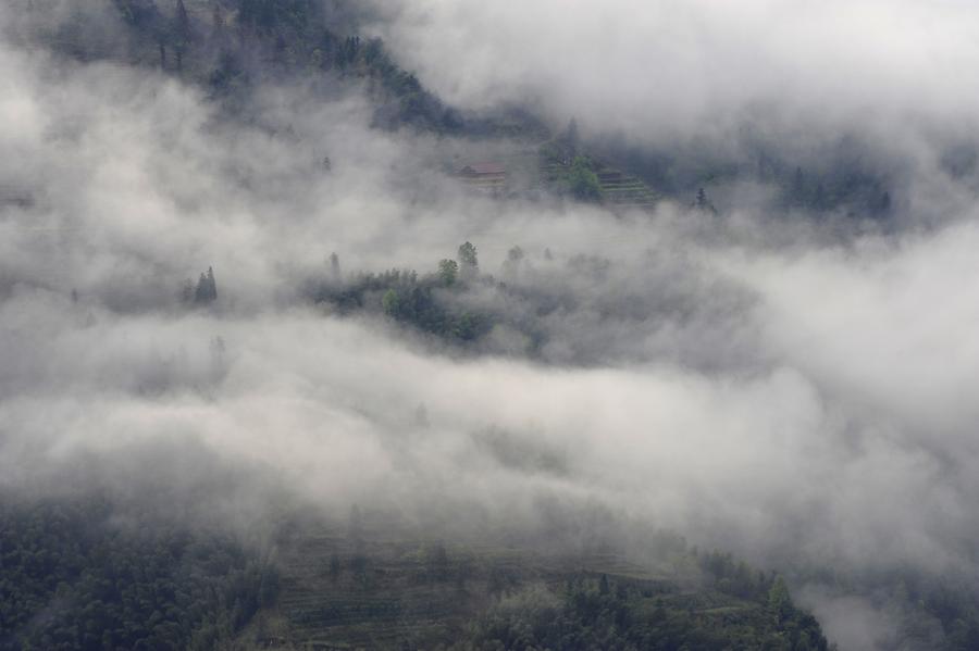 Ping'an - Rice Terraces