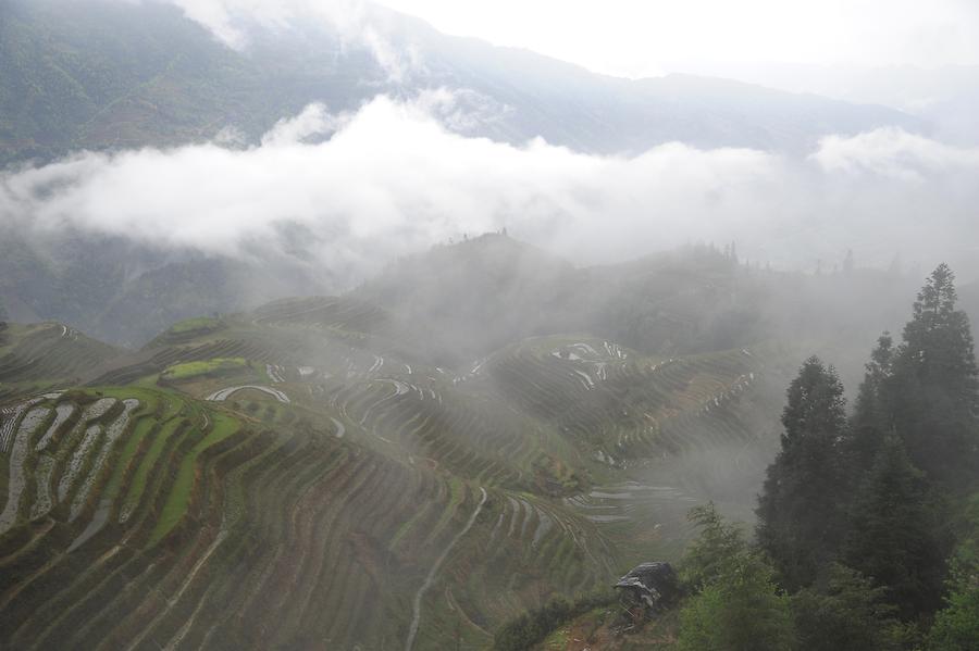 Ping'an - Rice Terraces