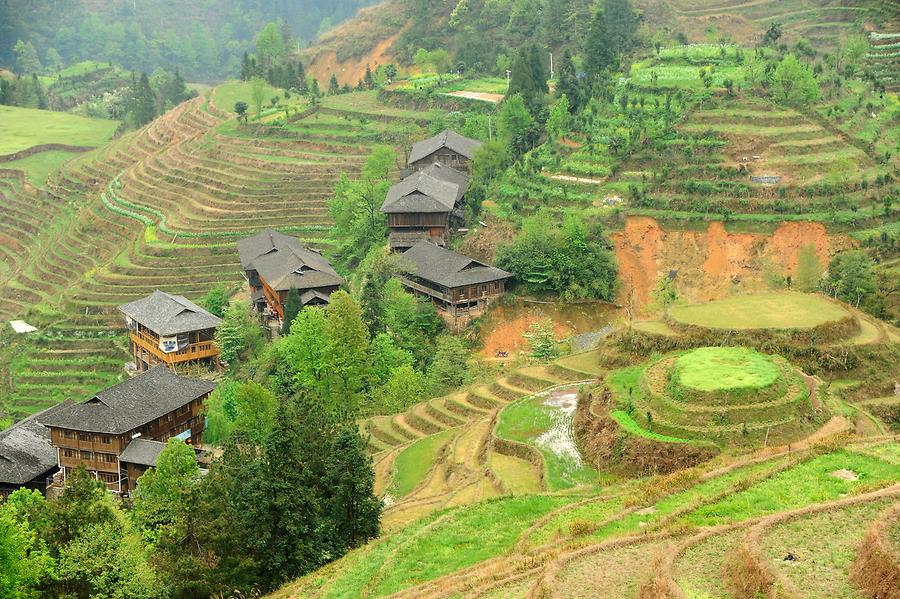 Rice Terraces near Tiantou